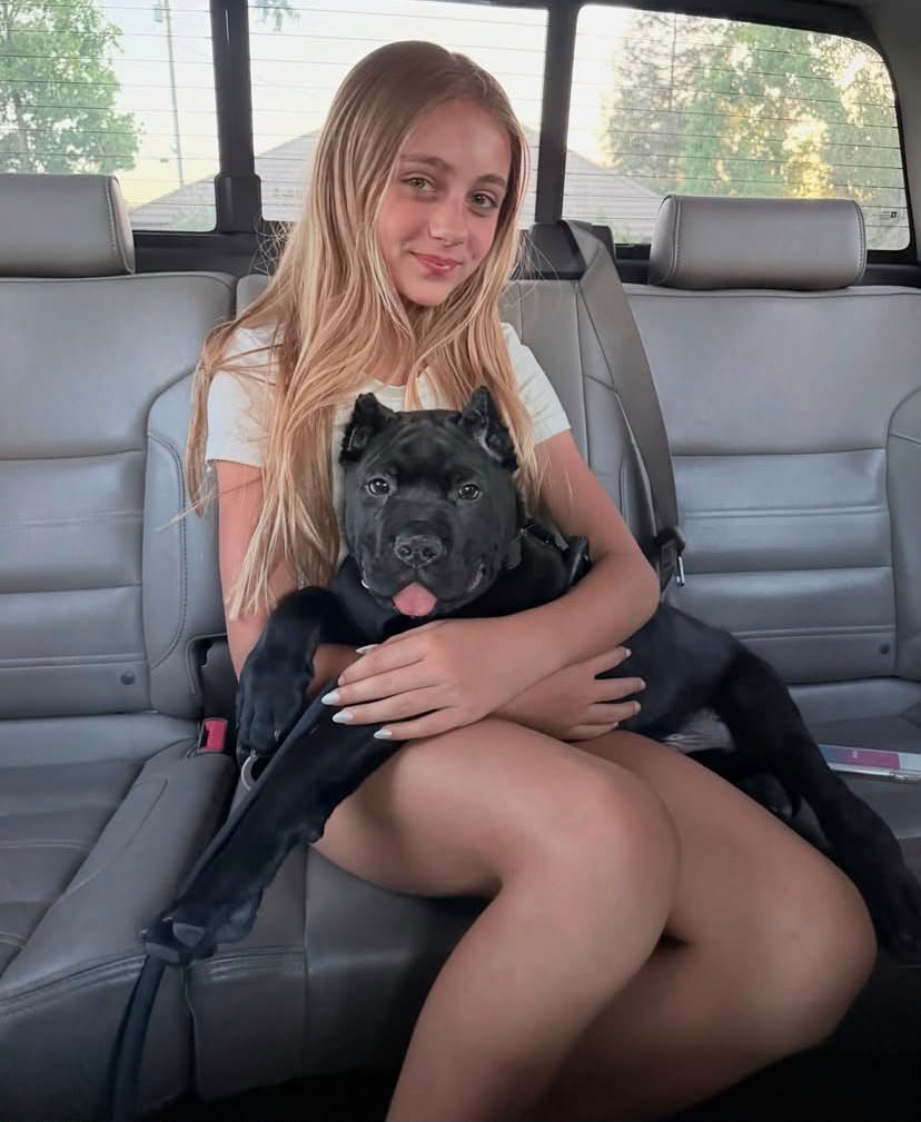CUSTOMER NAME and DOG NAME