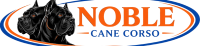 Cane_Corse_Puppies_For_Adoption-removebg-preview